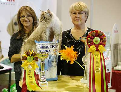 �������� �����  20-21 �������� 2014 ������������ ��� 1-95-169A2186 copy.jpg